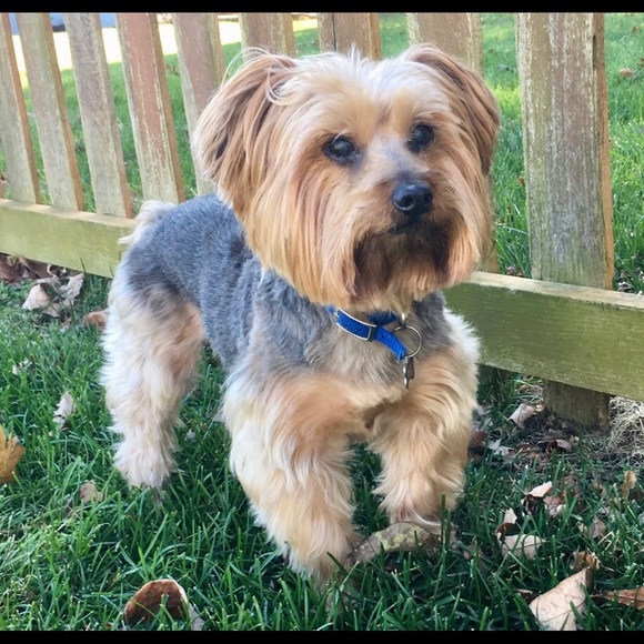 Meet your Posher, Christine - Picture 3 of 7